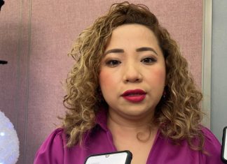 NO HAY PSICÓTICIS POR HECHOS DELICTIVOS DE ZONA CENTRO: DIPUTADA