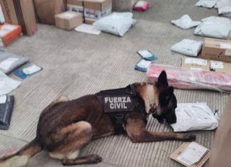 Asegura Compañía K9 de Fuerza Civil estupefacientes durante Operativo en Paqueterías