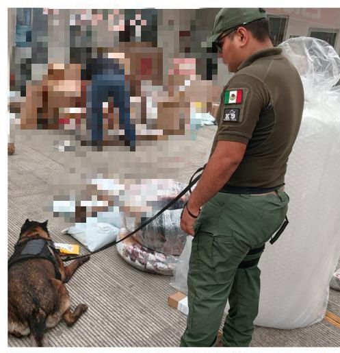 FUERZA CIVIL