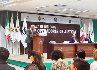 DIPUTADO MORENISTA ADELANTA MODIFICACIONES A LAS LEYES