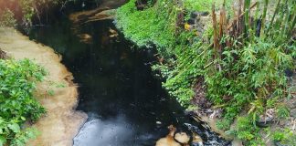 Fuga de petróleo contaminó el agua en Papantla