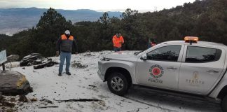 Confirma alcalde caída de nieve en el Cofre de Perote