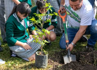 La PMA prepara el Sexto Ambientón Ecológico en la zona conurbada Veracruz, Boca del Río, Medellín, Alvarado