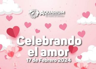 Bodas Colectivas Gratuitas, Aquarium del Puerto de Veracruz.