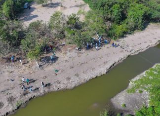 PMA LLEVA A CABO LA REFORESTACIÓN DE LA LAGUNA SAN JULIÁN EN VERACRUZ