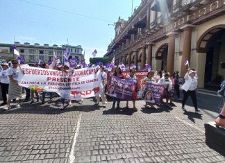 Consejo Consultivo de IVM defiende a Nahle, presenta queja ante OPLE