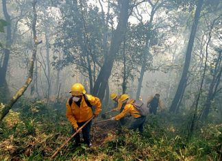Mantienen las fuerzas de tarea 70% de control en incendio de Río Blanco