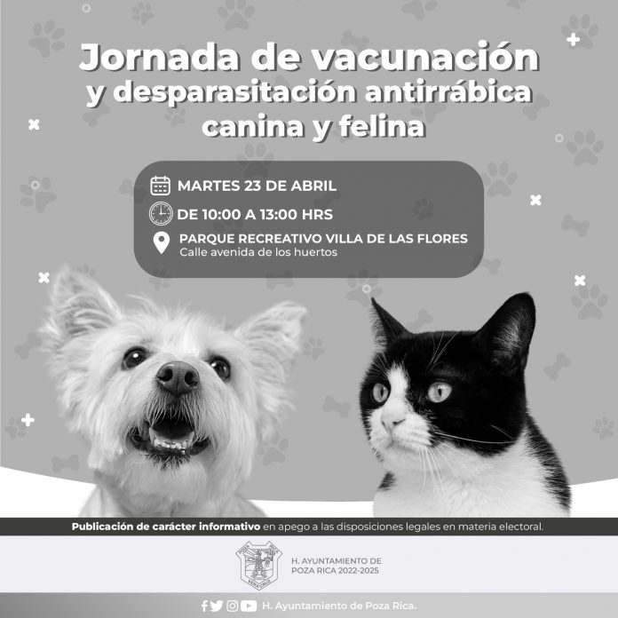 80ac51e3-90a4-43fd-a5eb-3578398dfea9
