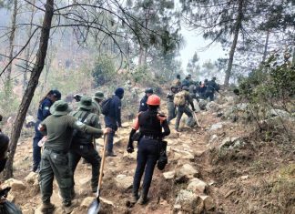 Se mantiene la atención coordinada al incendio forestal de Atlahuilco