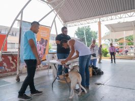 Exitosa jornada de desparasitación y vacunación antirrábica en Poza Rica