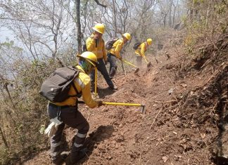 Se mantiene la atención con altos porcentajes de control en incendio de Río Blanco