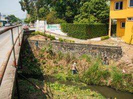 Mantienen limpios arroyos de Poza Rica