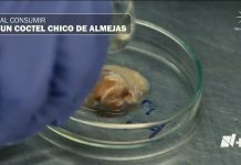¡Consumimos plástico!