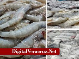 ¡Consumimos plástico!