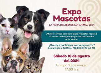 Promueven bienestar animal con Expo Mascotas