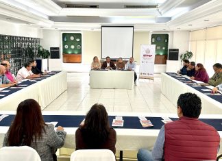 Fortalecimiento de microempresas impulsa el desarrollo económico de Veracruz