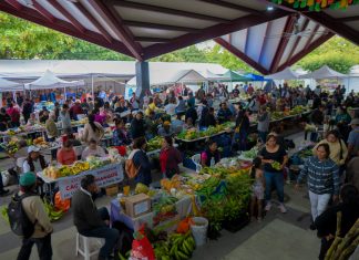 «Tianguis Campesino» reúne a más de 200 productores en Poza Rica