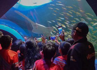 Regresan los Martes Gratis al Aquarium del Puerto de Veracruz