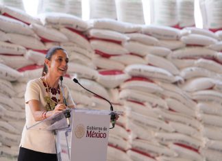 Programa de Fertilizantes para el Bienestar, iniciativa clave para el desarrollo de la agricultura en México: Víctor Rodríguez Padilla