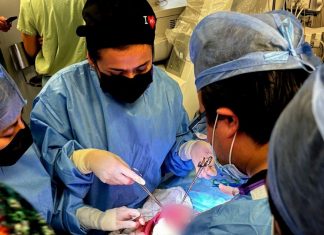 Veracruz hace historia: realizan con éxito la primera cirugía fetal en hospital público