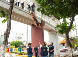 Protección Civil actualiza capacitación de rescate en altura
