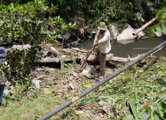 Previenen inundaciones y cuidan el medio ambiente
