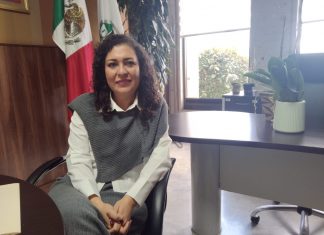 Exige la renuncia de la titular de Protección civil denuncia diputada local Ana Rosa Valdez