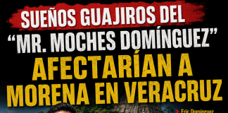 Sueños guajiros del “Mr. Moches Domínguez” afectarían a Morena en Veracruz