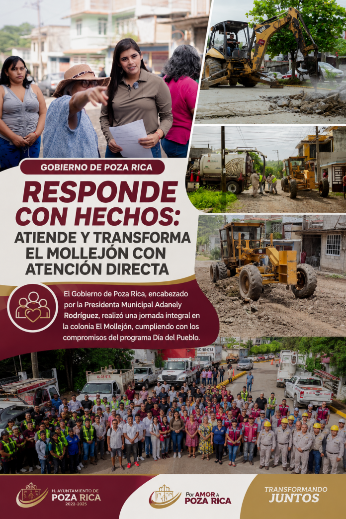 0828E309-5222-4BEF-B5F4-58DC70E21AC3