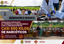 𝗩𝗲𝗿𝗮𝗰𝗿𝘂𝘇 𝗳𝗼𝗿𝘁𝗮𝗹𝗲𝗰𝗲 𝗲𝗹 𝗰𝗼𝗺𝗯𝗮𝘁𝗲 𝗮 𝗹𝗮 𝗱𝗲𝗹𝗶𝗻𝗰𝘂𝗲𝗻𝗰𝗶𝗮