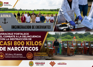 𝗩𝗲𝗿𝗮𝗰𝗿𝘂𝘇 𝗳𝗼𝗿𝘁𝗮𝗹𝗲𝗰𝗲 𝗲𝗹 𝗰𝗼𝗺𝗯𝗮𝘁𝗲 𝗮 𝗹𝗮 𝗱𝗲𝗹𝗶𝗻𝗰𝘂𝗲𝗻𝗰𝗶𝗮