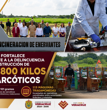 𝗩𝗲𝗿𝗮𝗰𝗿𝘂𝘇 𝗳𝗼𝗿𝘁𝗮𝗹𝗲𝗰𝗲 𝗲𝗹 𝗰𝗼𝗺𝗯𝗮𝘁𝗲 𝗮 𝗹𝗮 𝗱𝗲𝗹𝗶𝗻𝗰𝘂𝗲𝗻𝗰𝗶𝗮