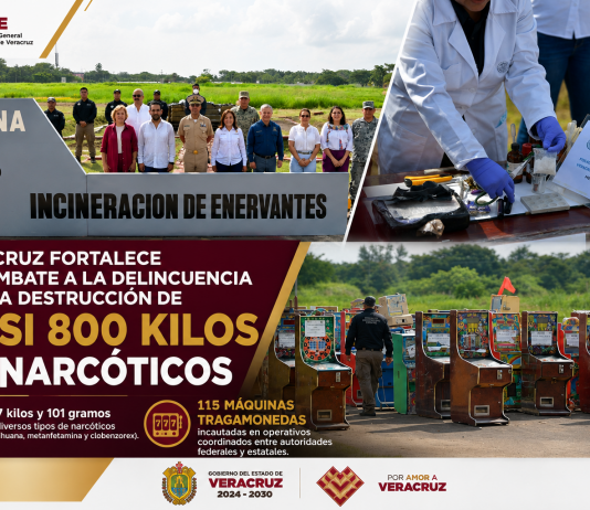 𝗩𝗲𝗿𝗮𝗰𝗿𝘂𝘇 𝗳𝗼𝗿𝘁𝗮𝗹𝗲𝗰𝗲 𝗲𝗹 𝗰𝗼𝗺𝗯𝗮𝘁𝗲 𝗮 𝗹𝗮 𝗱𝗲𝗹𝗶𝗻𝗰𝘂𝗲𝗻𝗰𝗶𝗮