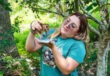 YULIET GALLARDO PARTICIPA EN LIBERACIÓN DE TLACUACHES Y REAFIRMA SU COMPROMISO CON LA CONSERVACIÓN DE LA FAUNA SILVESTRE