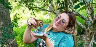 YULIET GALLARDO PARTICIPA EN LIBERACIÓN DE TLACUACHES Y REAFIRMA SU COMPROMISO CON LA CONSERVACIÓN DE LA FAUNA SILVESTRE