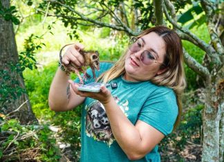 YULIET GALLARDO PARTICIPA EN LIBERACIÓN DE TLACUACHES Y REAFIRMA SU COMPROMISO CON LA CONSERVACIÓN DE LA FAUNA SILVESTRE