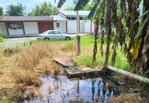 Alumnos del CECATI 103 denuncian crisis sanitaria
