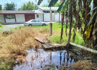 Alumnos del CECATI 103 denuncian crisis sanitaria