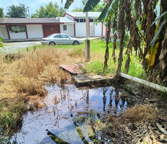 Alumnos del CECATI 103 denuncian crisis sanitaria