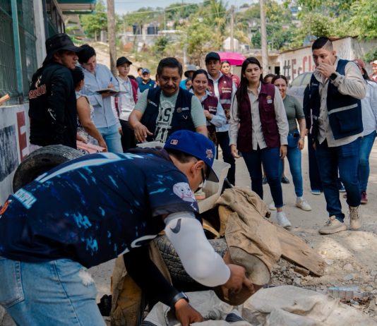 GOBIERNO DE POZA RICA LLEVA A CABO JORNADA DE DESCACHARRIZACIÓN EN LA COLONIA VICENTE HERRERA