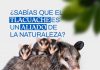 YULIET GALLARDO LLAMA A PROTEGER LA FAUNA Y PRESERVAR EL EQUILIBRIO DE LOS ECOSISTEMAS