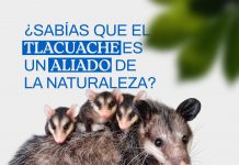 YULIET GALLARDO LLAMA A PROTEGER LA FAUNA Y PRESERVAR EL EQUILIBRIO DE LOS ECOSISTEMAS