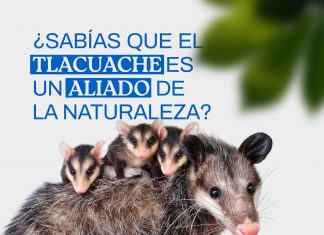 YULIET GALLARDO LLAMA A PROTEGER LA FAUNA Y PRESERVAR EL EQUILIBRIO DE LOS ECOSISTEMAS