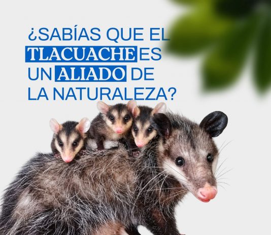 YULIET GALLARDO LLAMA A PROTEGER LA FAUNA Y PRESERVAR EL EQUILIBRIO DE LOS ECOSISTEMAS