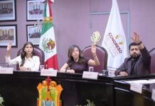 AYUNTAMIENTOS AVALAN REFORMA PARA AMPLIAR PERFILES PROFESIONALES QUE PODRÁN ENCABEZAR EL ORFIS