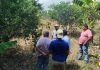 GOBIERNO FORTALECE ACOMPAÑAMIENTO TÉCNICO A PRODUCTORES DE CÍTRICOS