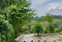 GOBIERNO MUNICIPAL ENTREGA OBRA DE CONCRETO HIDRÁULICO EN PALMA REAL