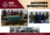 Detenidos 11 presuntos integrantes de células delictivas durante operativos coordinados