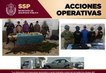 Detenidos 11 presuntos integrantes de células delictivas durante operativos coordinados