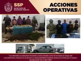 Detenidos 11 presuntos integrantes de células delictivas durante operativos coordinados